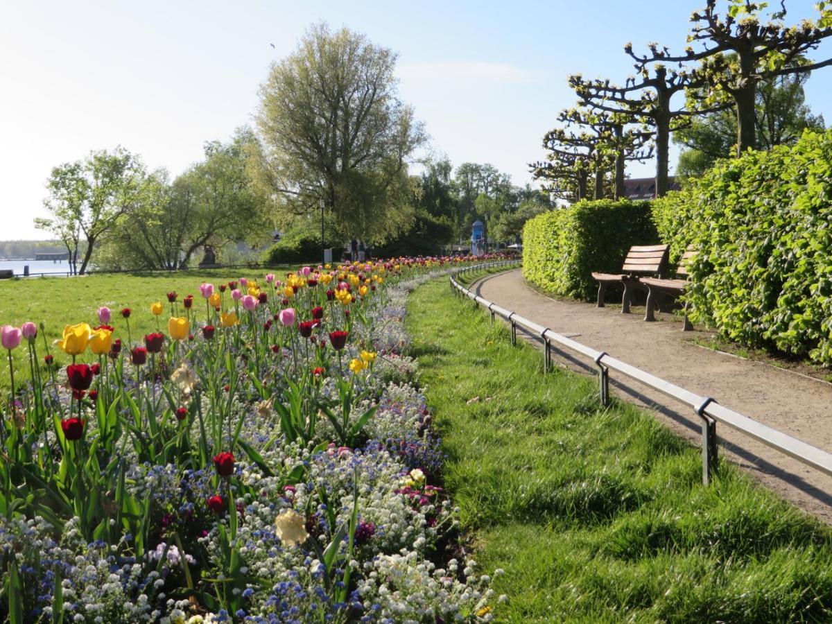 Ferienwohnungen "Marie" Mit Terrassen, Inclusive Park- Und Stellplaetze Am Haus, Mueritz-Strand Nur 700M, Altstadt 10Min, Ruhige Lage, Waren  Esterno foto