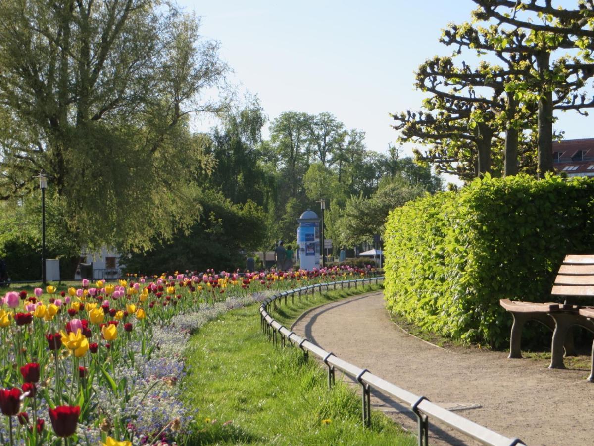 Ferienwohnungen "Marie" Mit Terrassen, Inclusive Park- Und Stellplaetze Am Haus, Mueritz-Strand Nur 700M, Altstadt 10Min, Ruhige Lage, Waren  Esterno foto